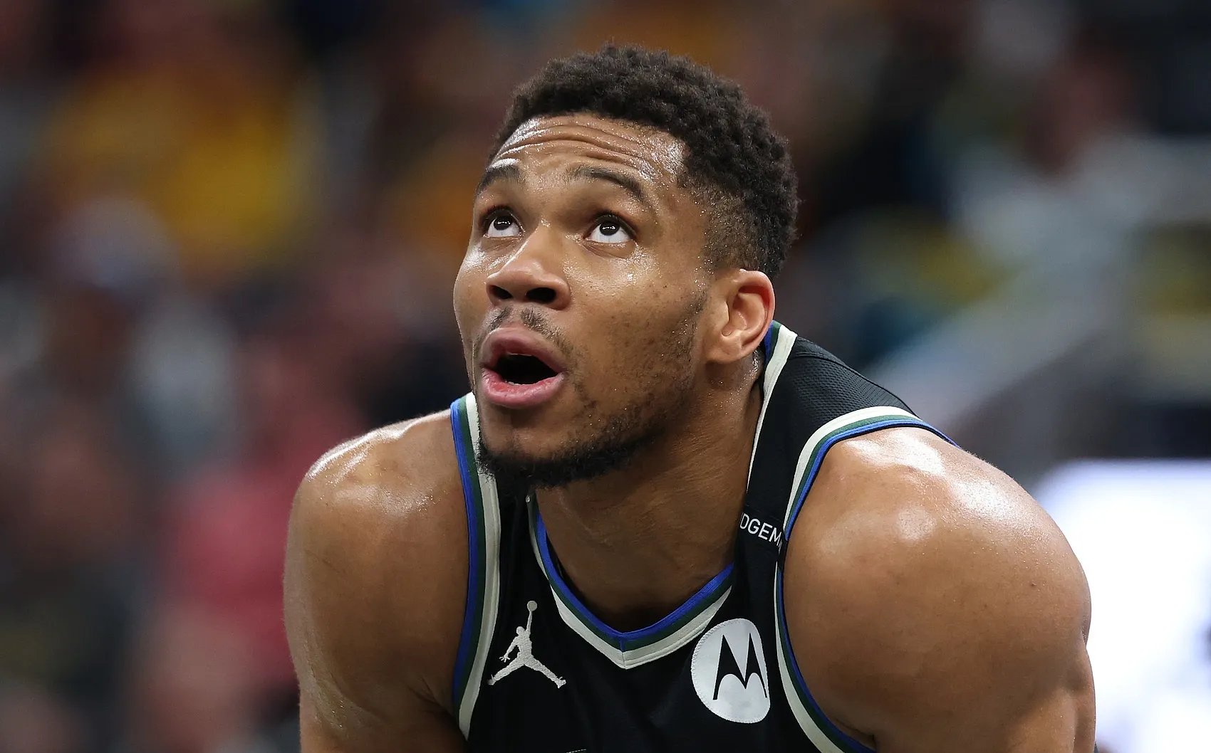 星空体育- 猛龙主帅英格拉姆恢复打全场